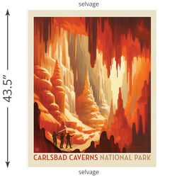 Carlsbad Caverns Poster Panel (2026)