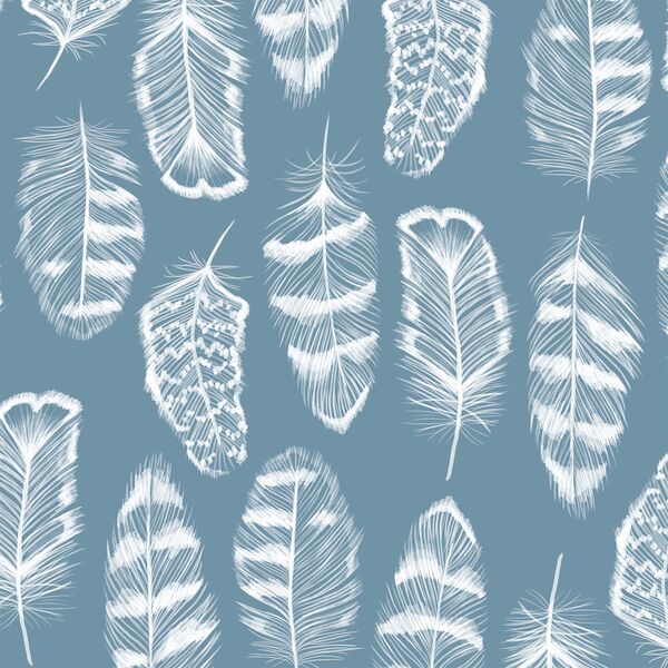 Plume in Marine