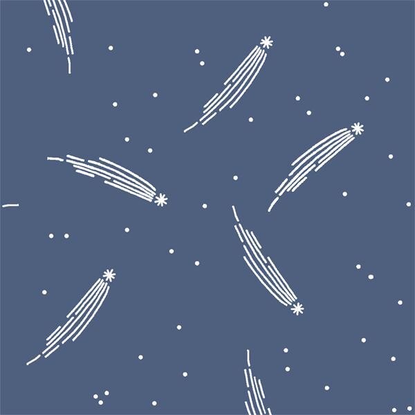 Meteor Shower in Midnight