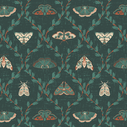 Divine Moths in Glade