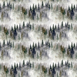 Misty Mountains in Forest