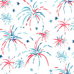 Large Fireworks in White