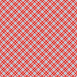 Diagonal Plaid in Red