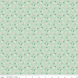 Daisy in Sage