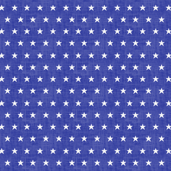 Star Spangled in Blue Jeans