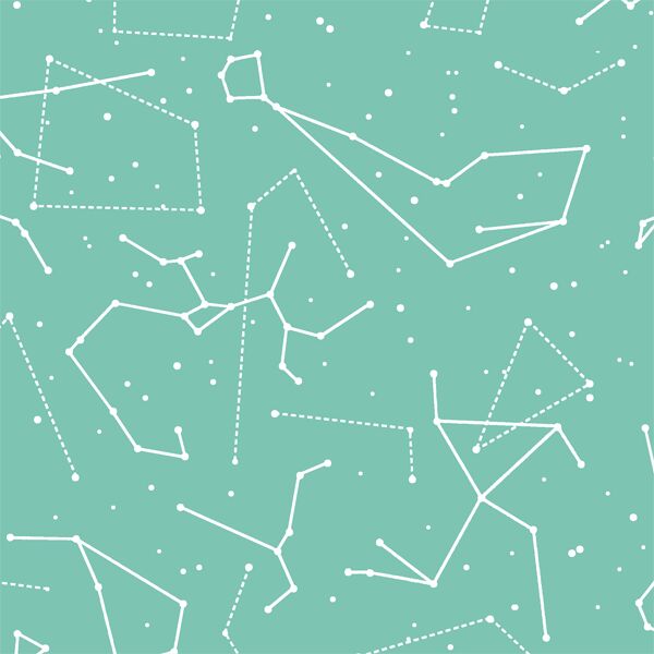 Star Charts in Succulent