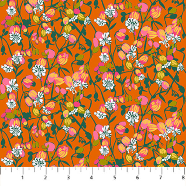 Silene in Tangerine