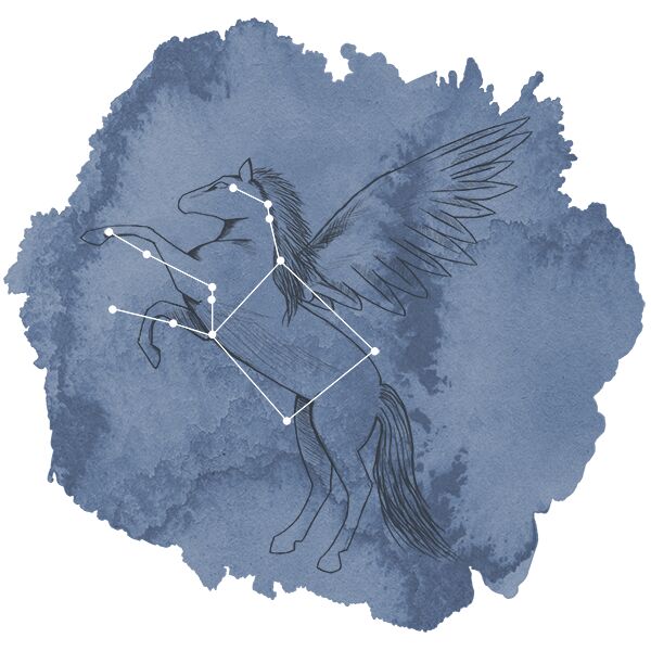 Pegasus Panel in Midnight