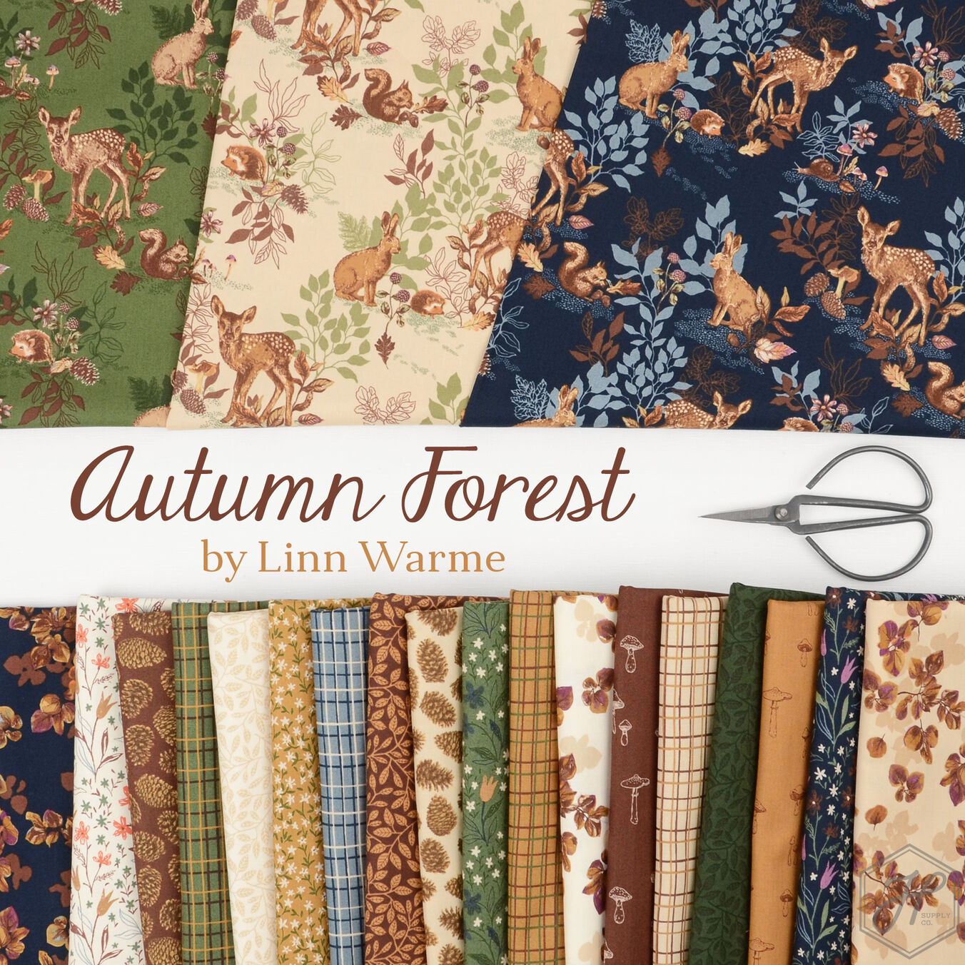 Autumn Forest Poster Image