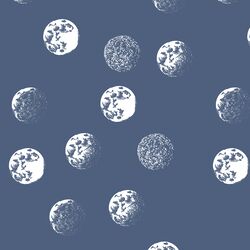 Moondance in Midnight
