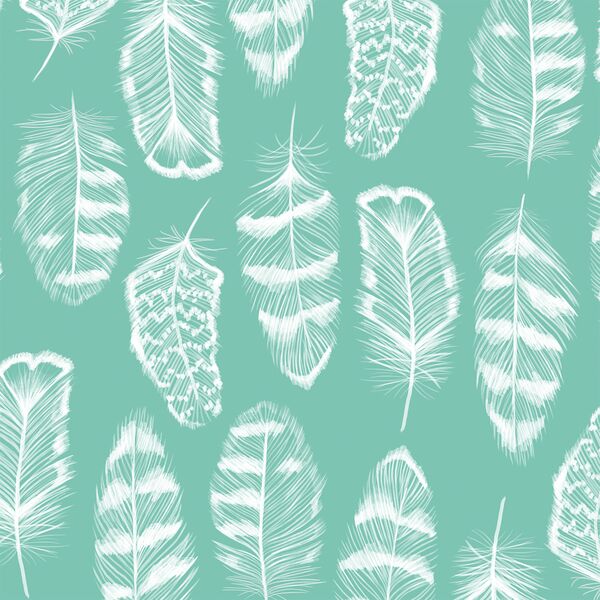 Plume in Succulent
