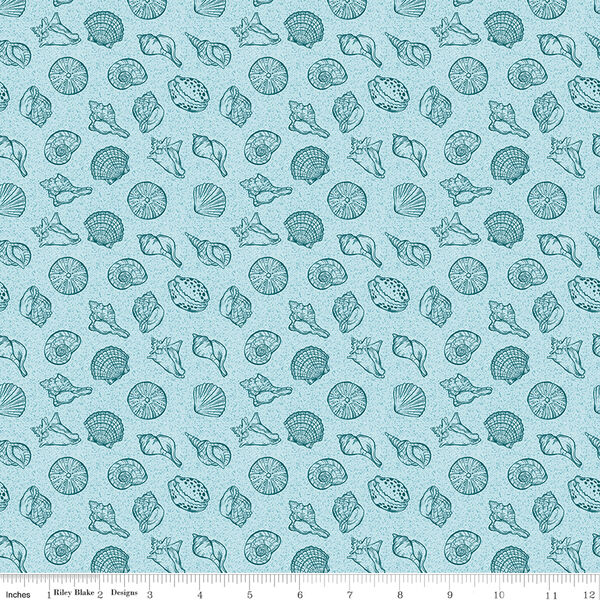 Shells in Sky