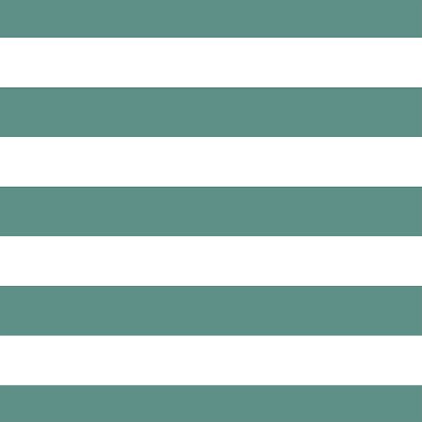 Horizontal Play Stripe in Agate