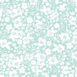 Forget Me Not in Aloe