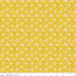 Sofia's Sunflowers in C
