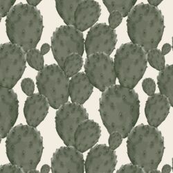 Big Cactus in Natural