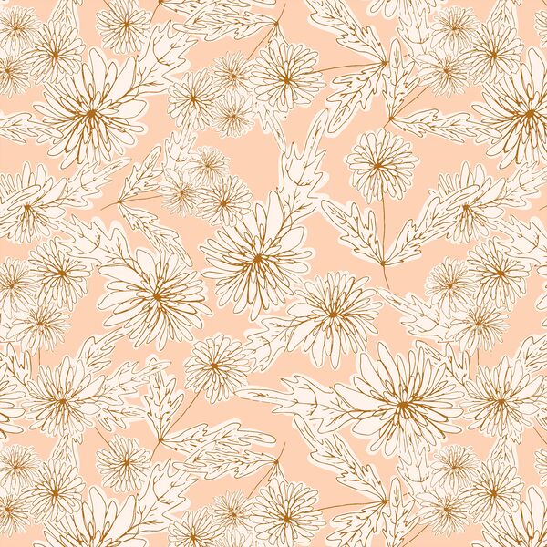 Simple Chrysanthemum in Soft Apricot