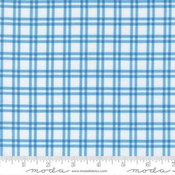 Plaid in Light Blue