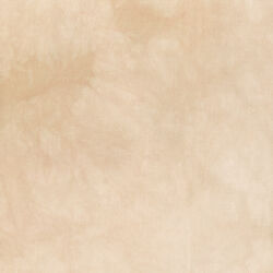 Palette in Almond