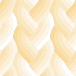 Braid Ombre in Ivory