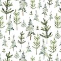 Snowy Forest in Pine