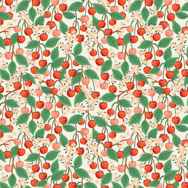Cherry Blossom in Cream