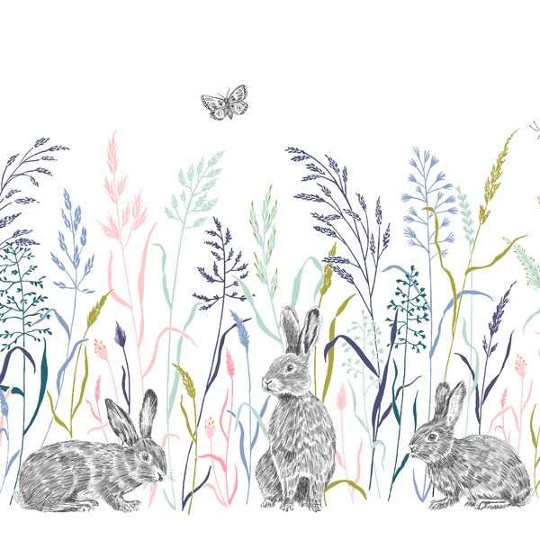 Hoppy Trails Double Border in Spring Meadow