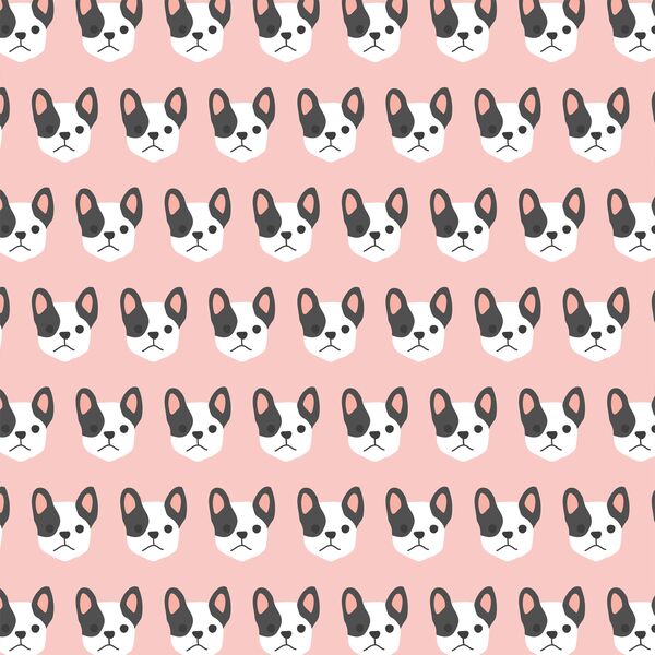 Bulldog in Pink Sugar