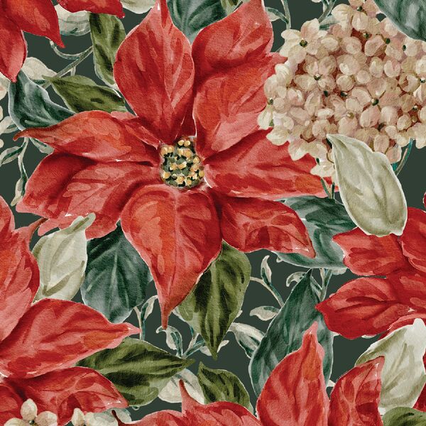 Large Poinsettia Bloom in Evergreen