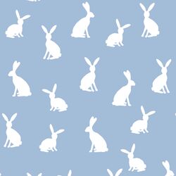 Cottontail Silhouette in Water