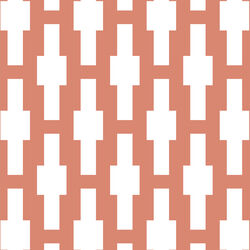 Crossroad in Desert Rose