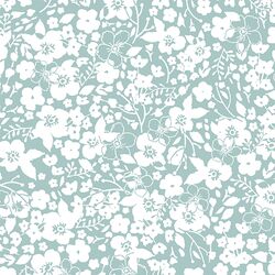 Forget Me Not in Aspen