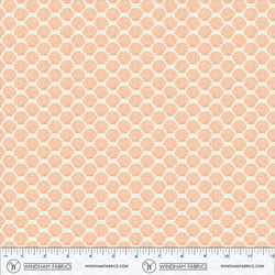 Shell in Coral