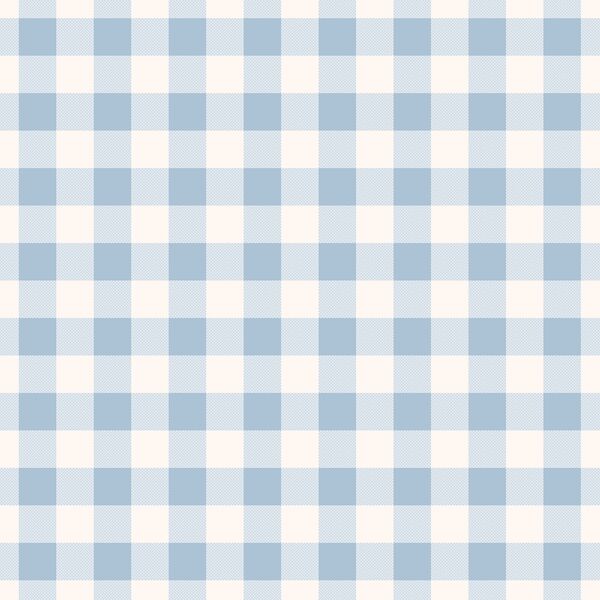 Sweet Gingham in Sky Blue