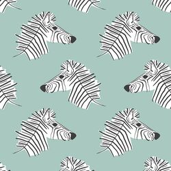 Burchell Zebra in Aspen