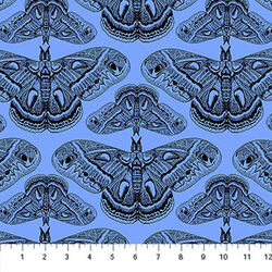 Cecropia in Cerulean