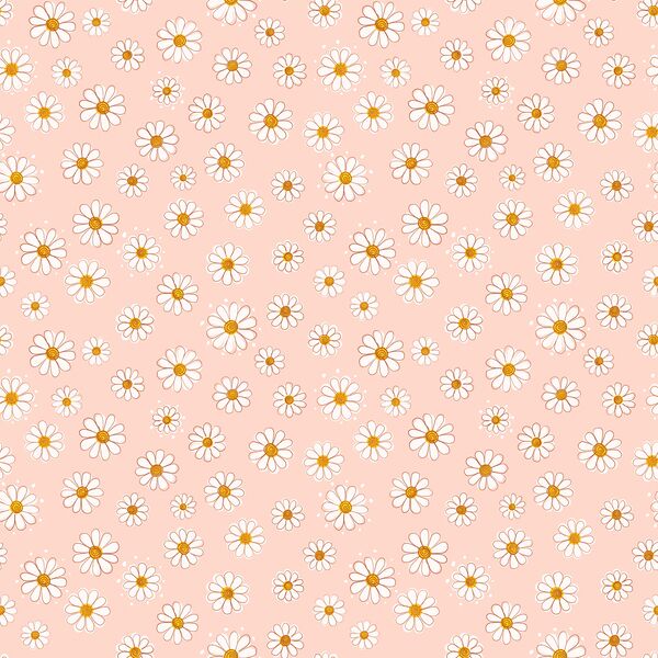 Valentine Daisy in Rosy