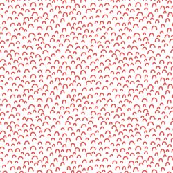 Doodle in Salmon on White