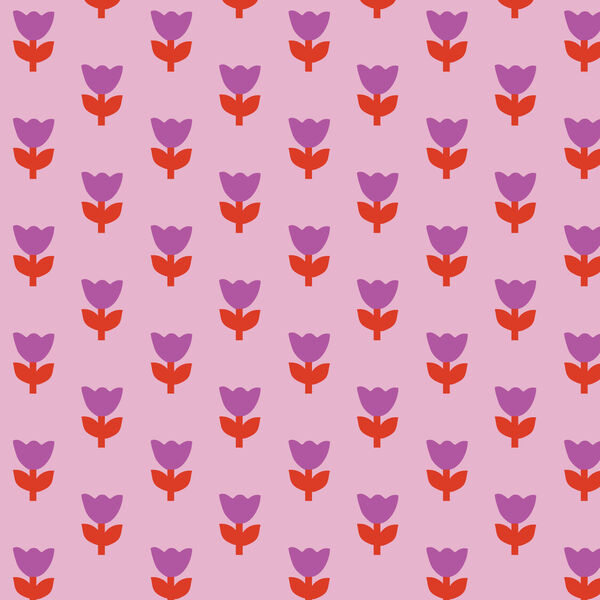 Tulip Tango in Pink