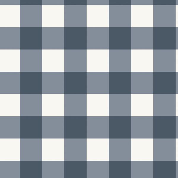 Gingham in Country Blue