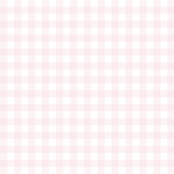 Gingham in Soft Pink