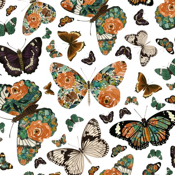 Autumn Butterfly in White