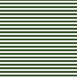 Little Thick Stripe in Holly Green