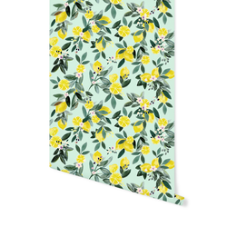 Lemon Grove in Mint