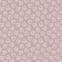 Susans in Lilac