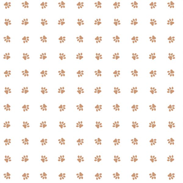 Paw Prints in Biscuit