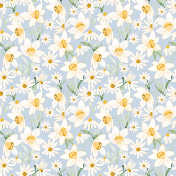 Daffodil Daisy in Robin