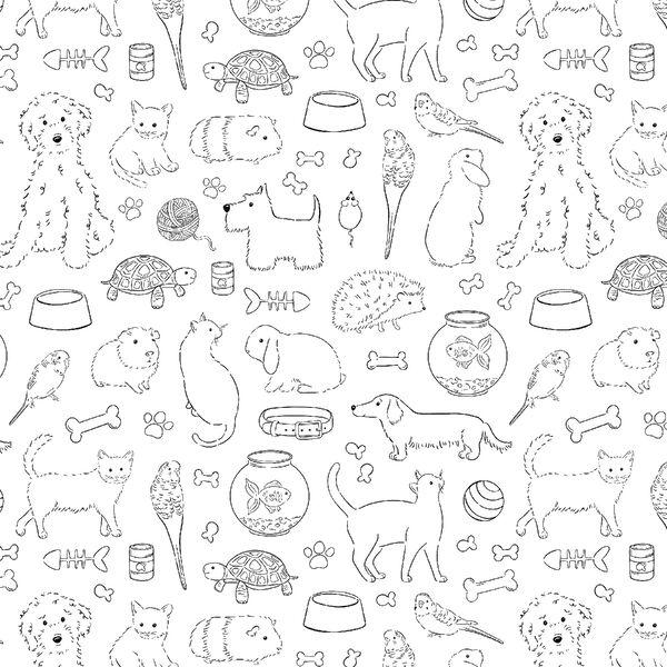Pet Sketches in Notebook