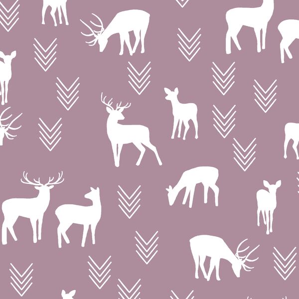Deer Silhouette in Celestial