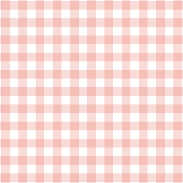 Gingham Check in Pink Peach | Hawthorne Supply Co